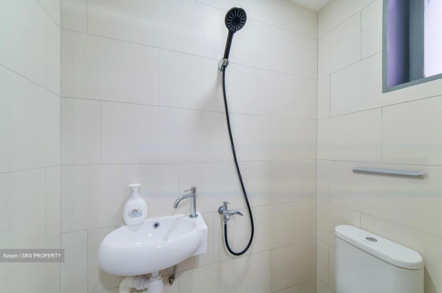 The Visionaire (D27), Condominium #463728811